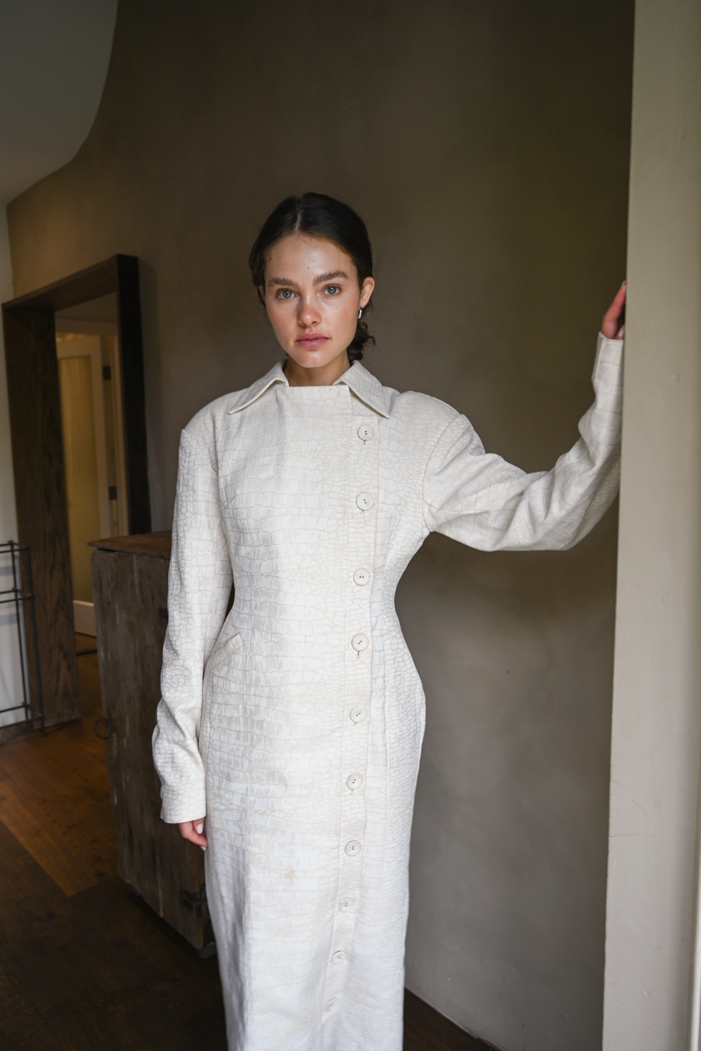 Blythe Trench Dress — Snakeskin