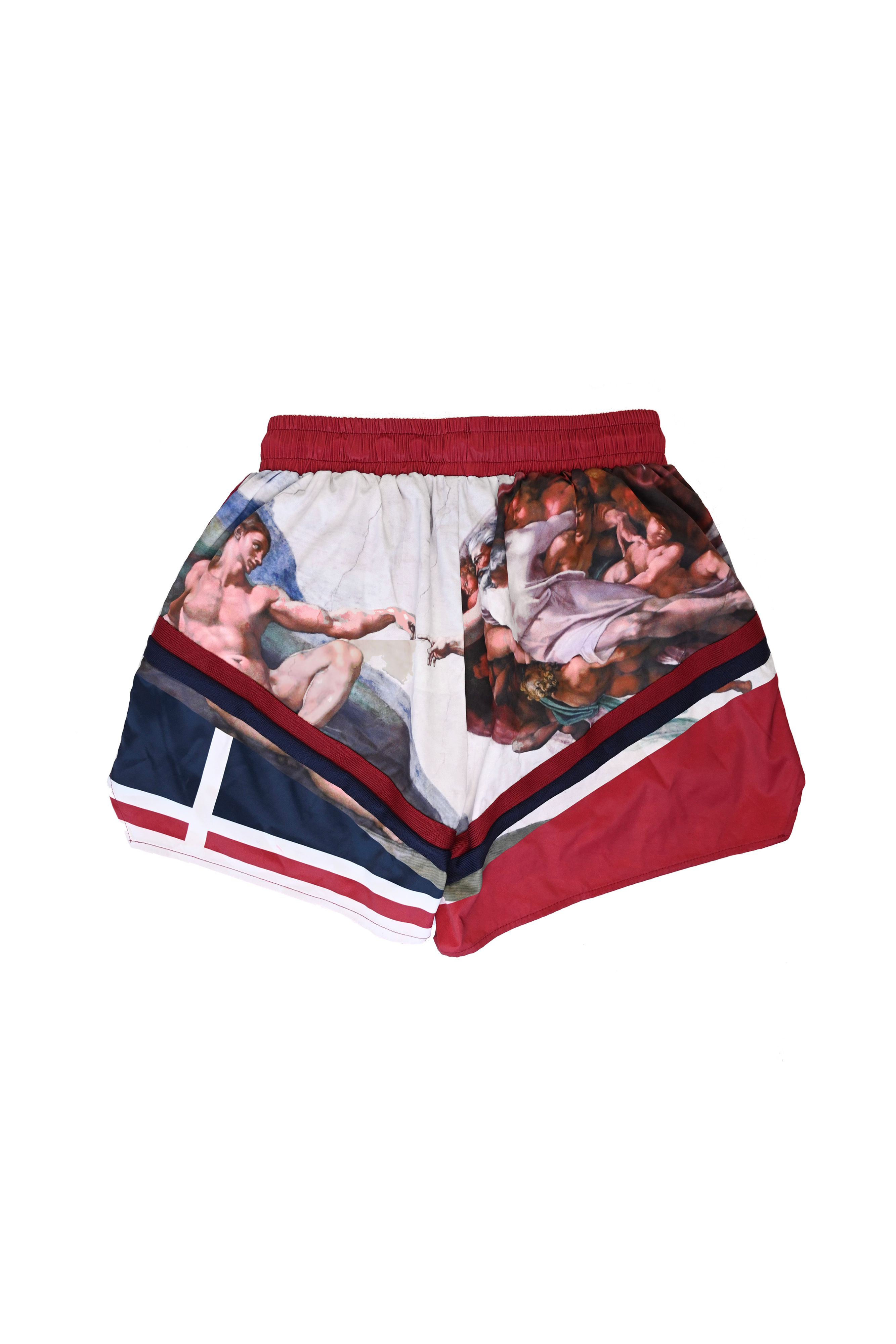 Michelangelo Shorts